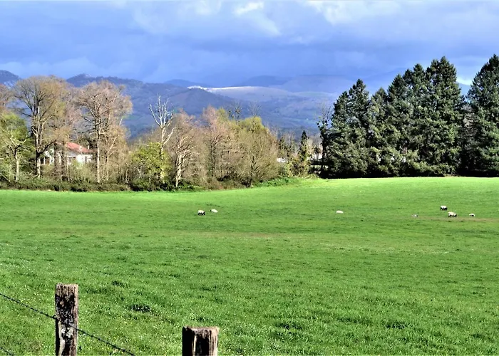 Loretxea Apartment Ispoure