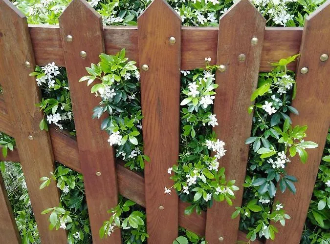 Loretxea Apartment *